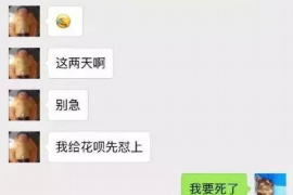 格尔木专业催债公司的市场需求和前景分析